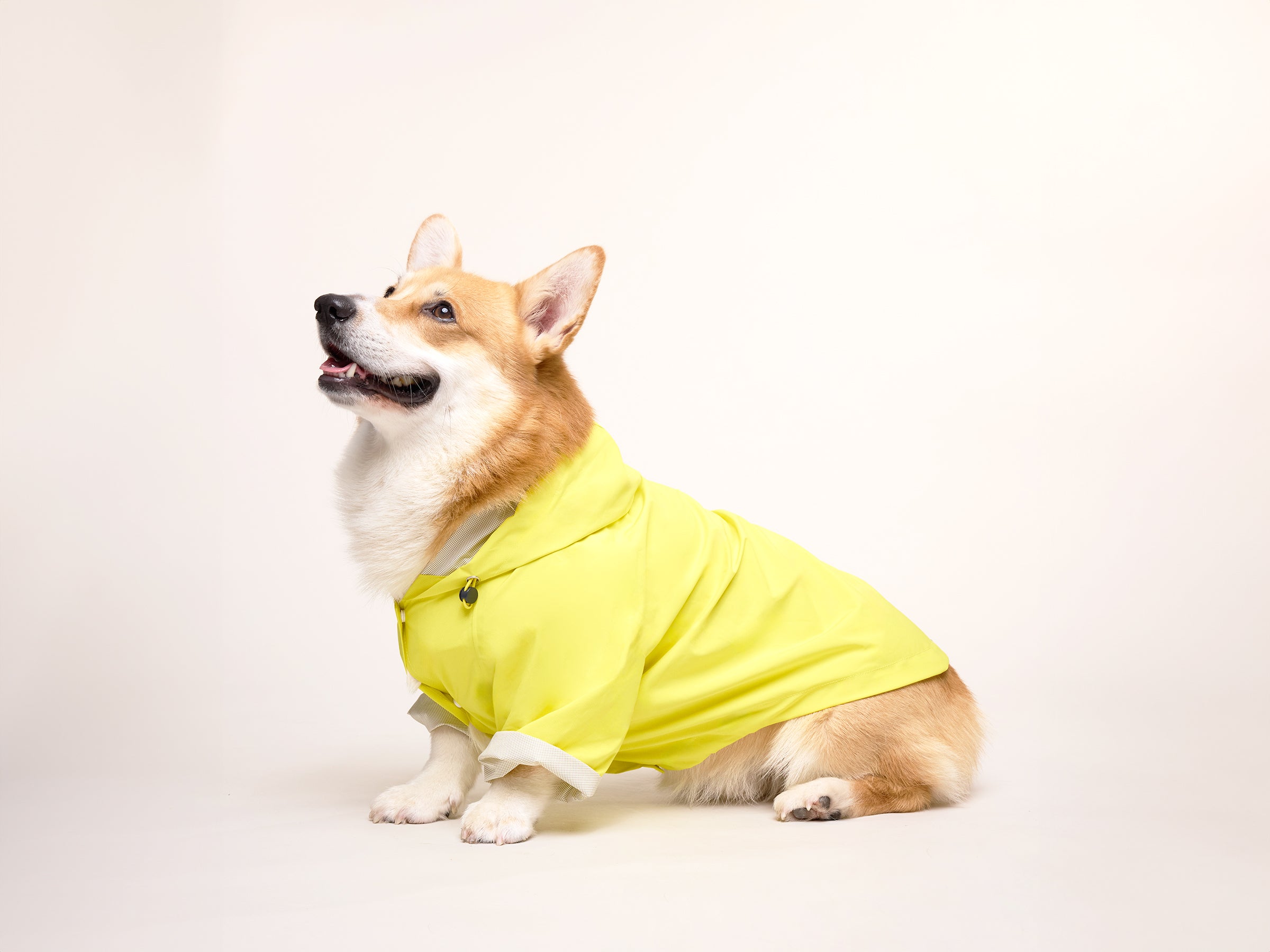 Banana Split Raincoat