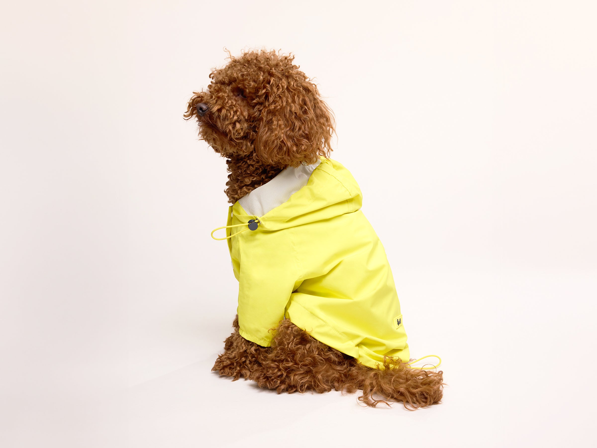 Banana Split Raincoat