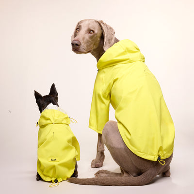 Banana Split Raincoat