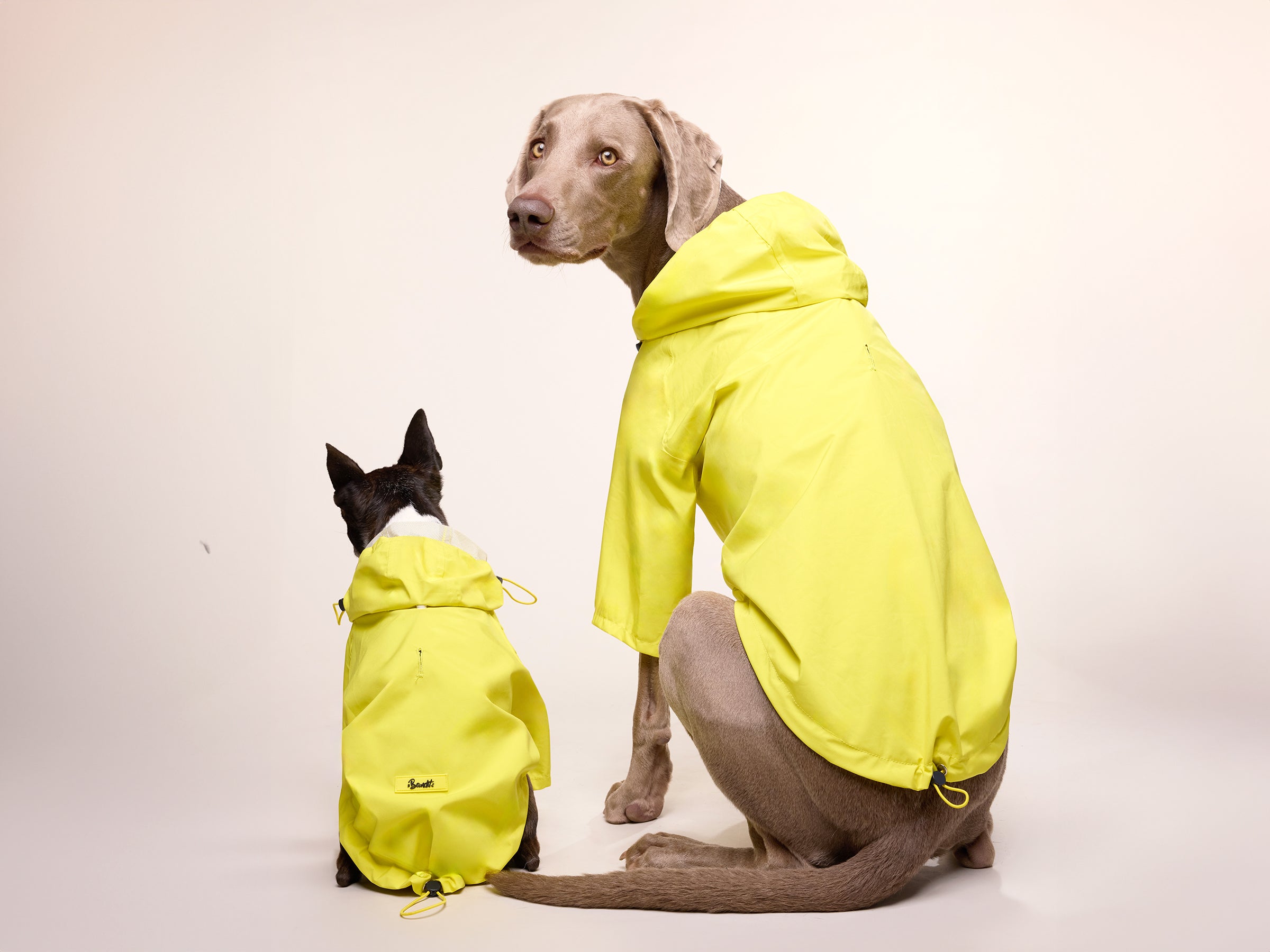 Banana Split Raincoat