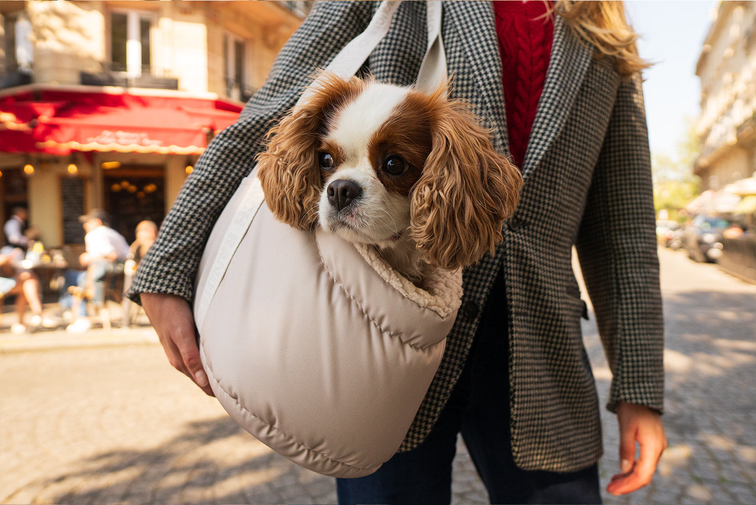 CARRYING BAG - Cream