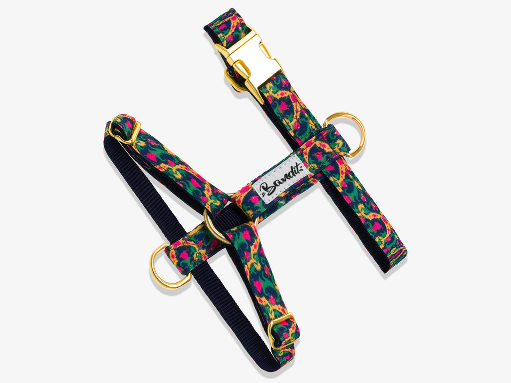 Harnais motif multicolore – French Bandit