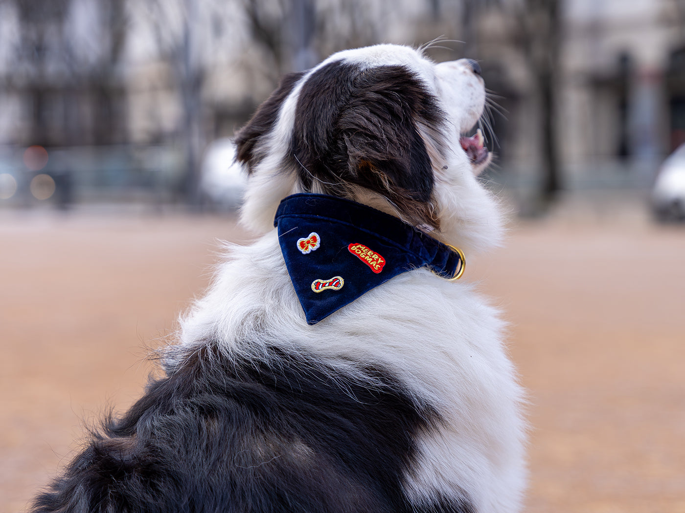 Merry Blue Bandana