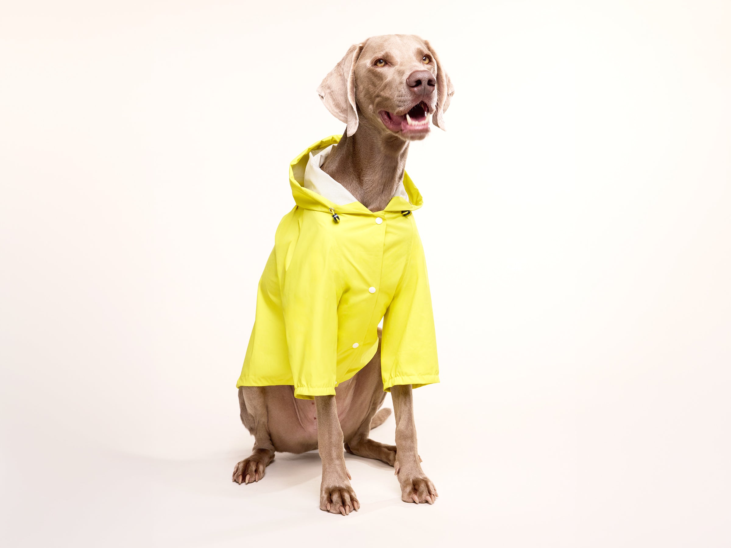 Banana Split Raincoat