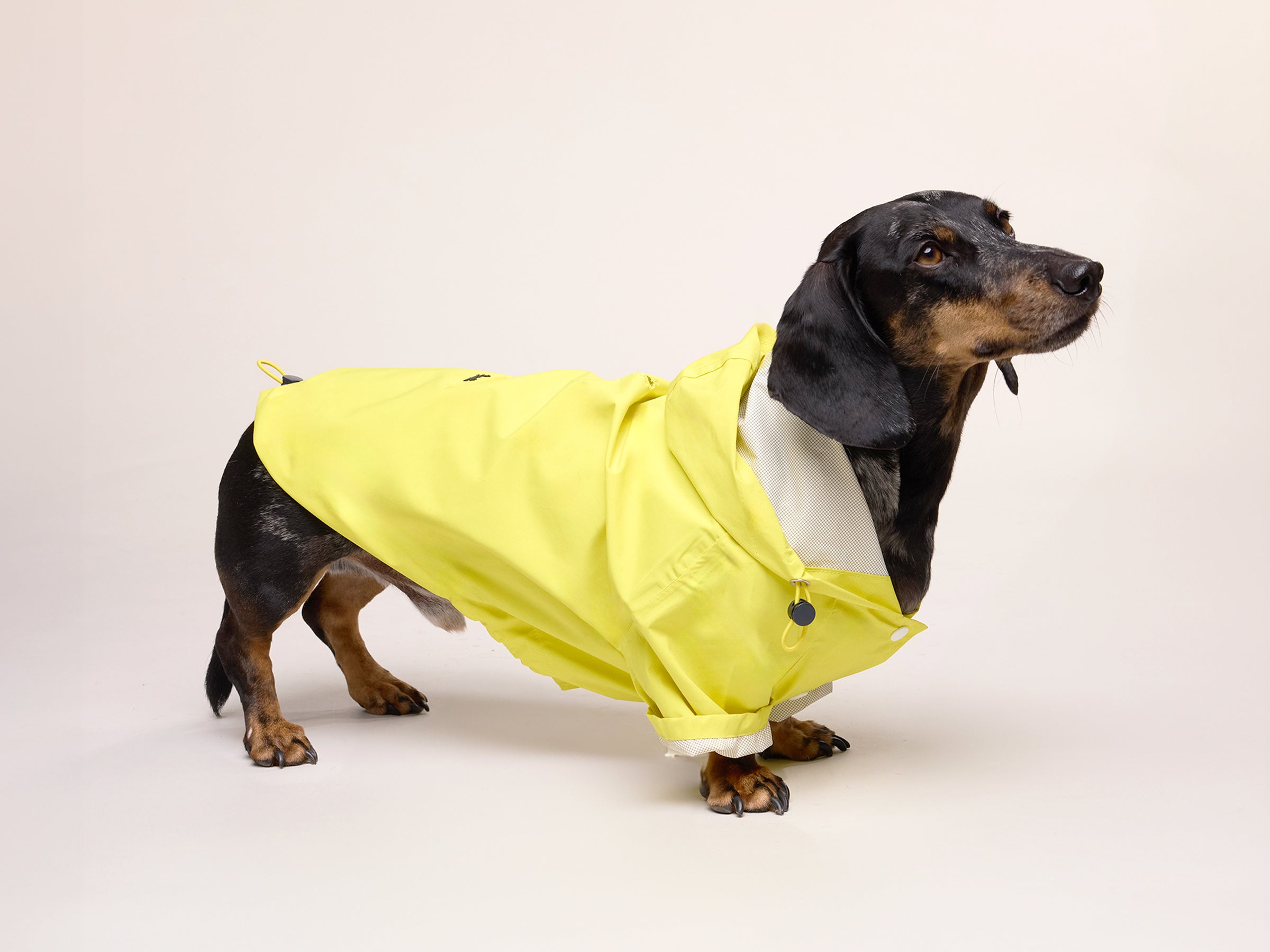 Banana Split Raincoat