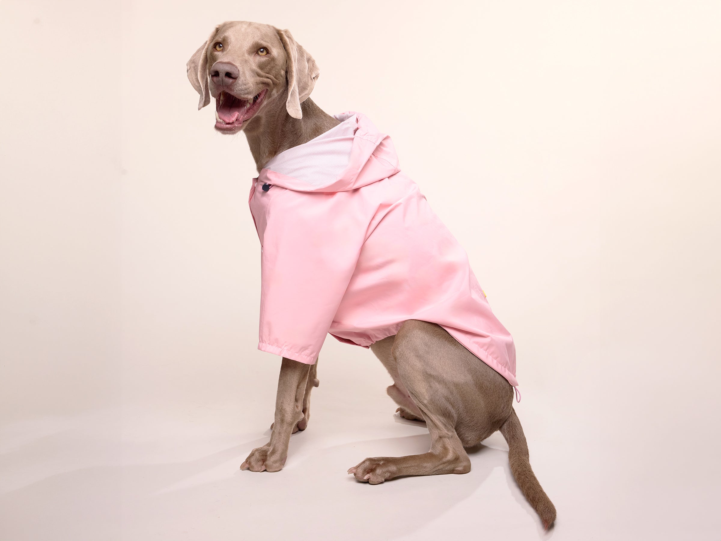 Bubblegum Raincoat