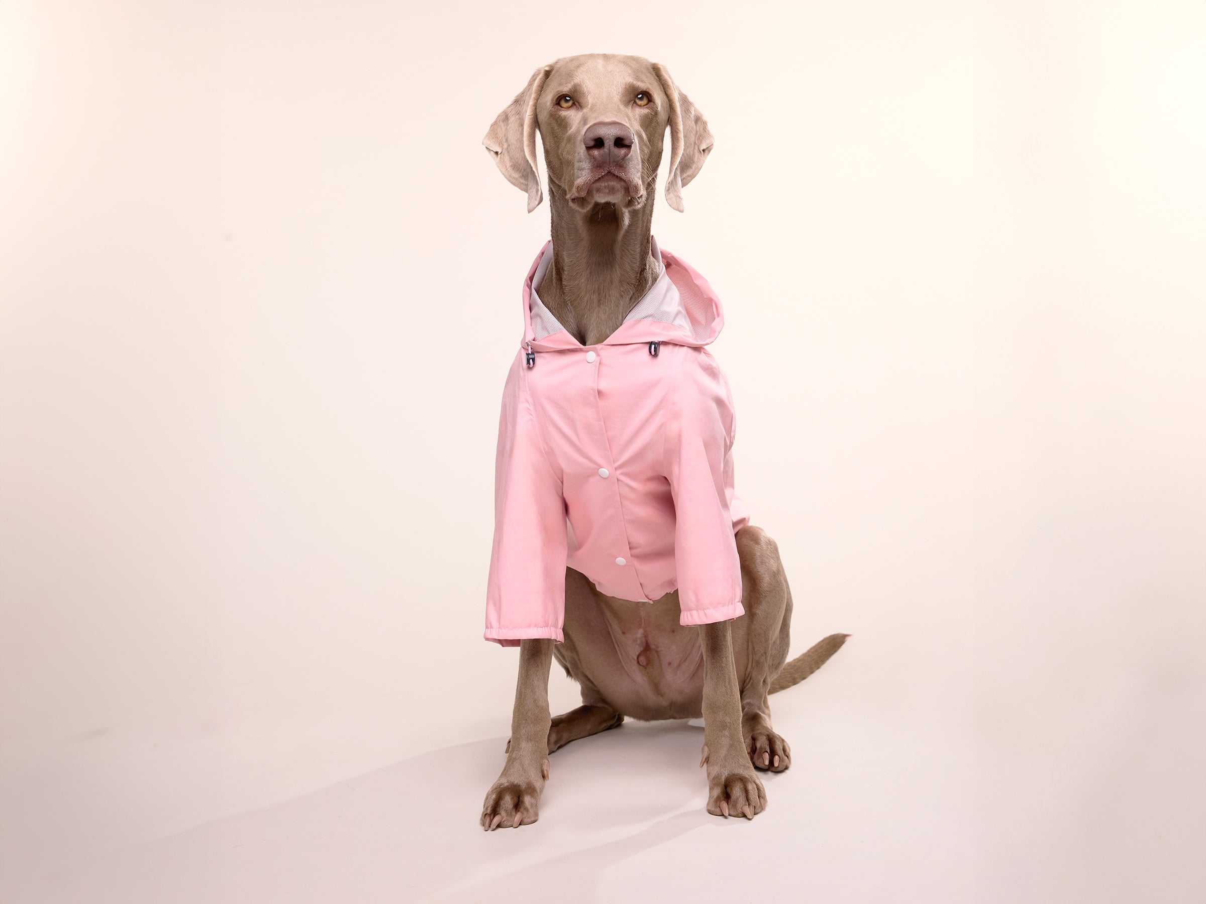 Bubblegum Raincoat