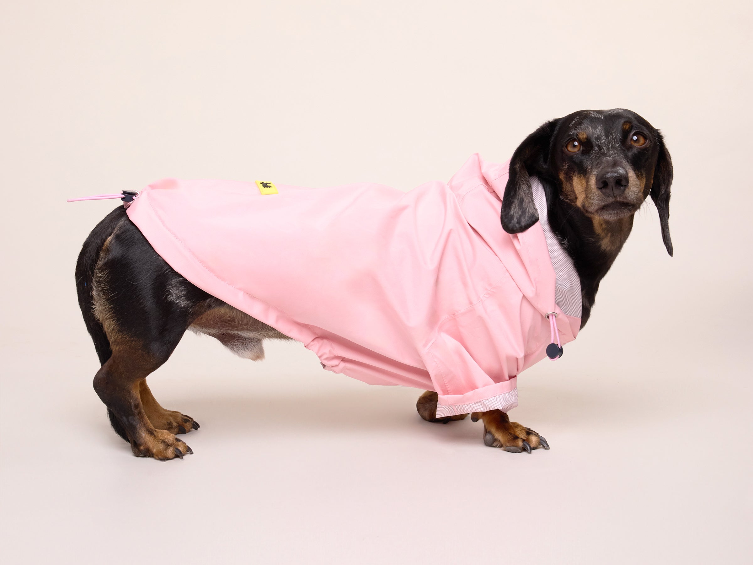 Bubblegum Raincoat