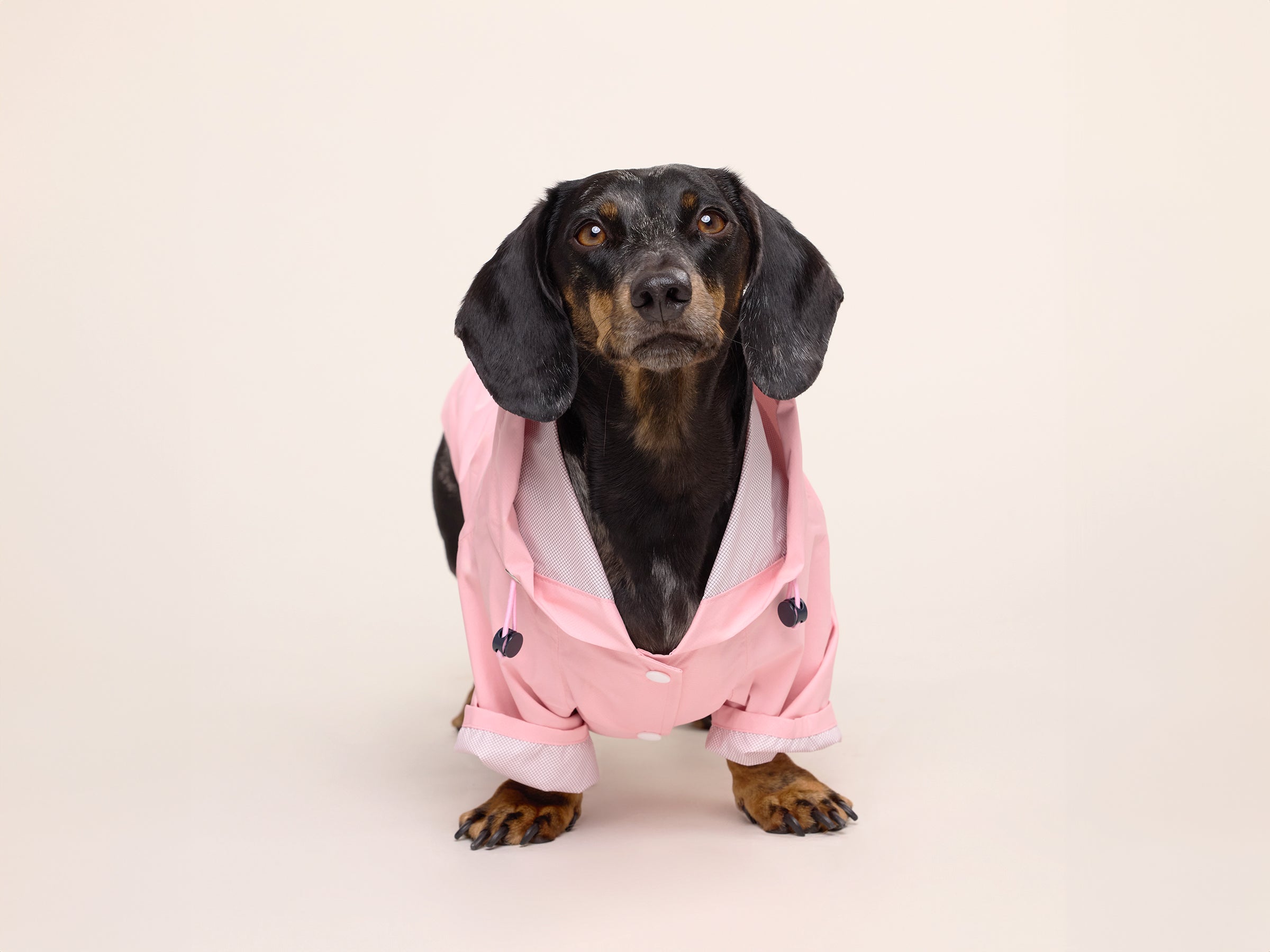 Bubblegum Raincoat