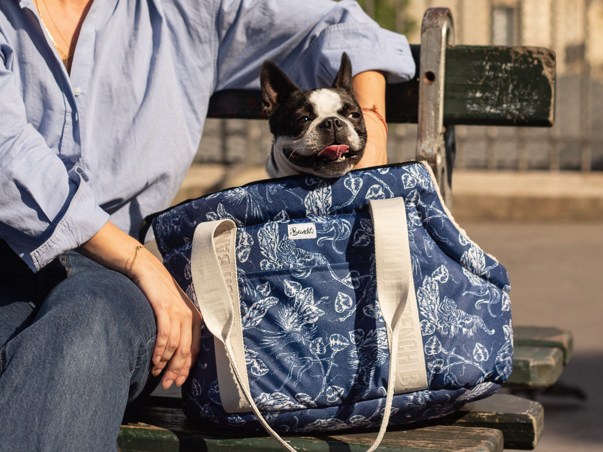 CARRYING BAG - Toile de jouy