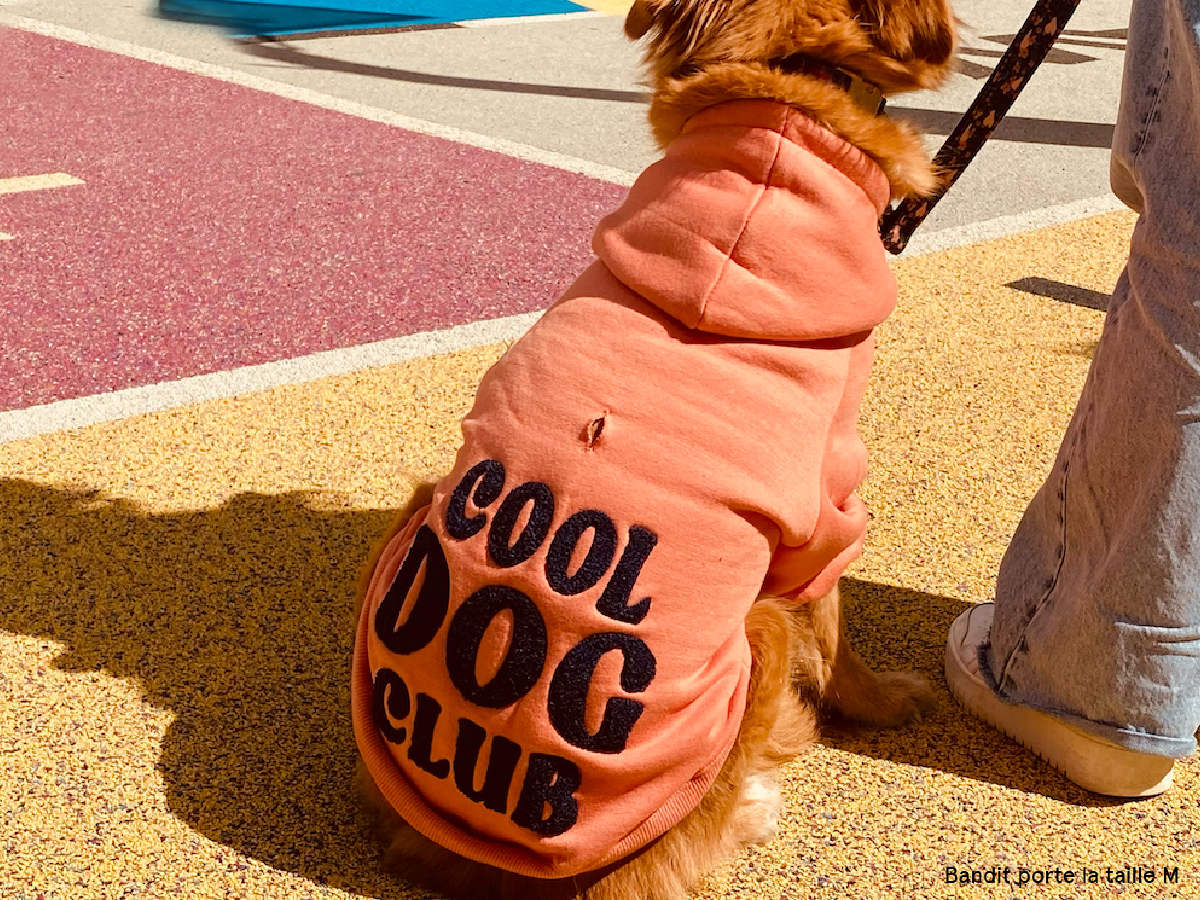 EMBROIDERED HOODIES