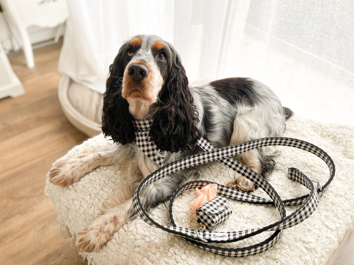 Bandana pour chien vichy 2