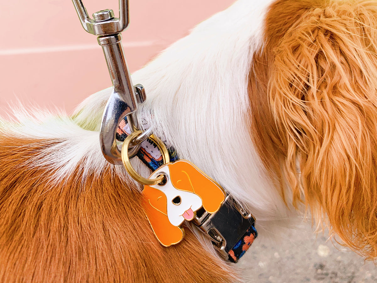 Médaille cavalier pour chien 2