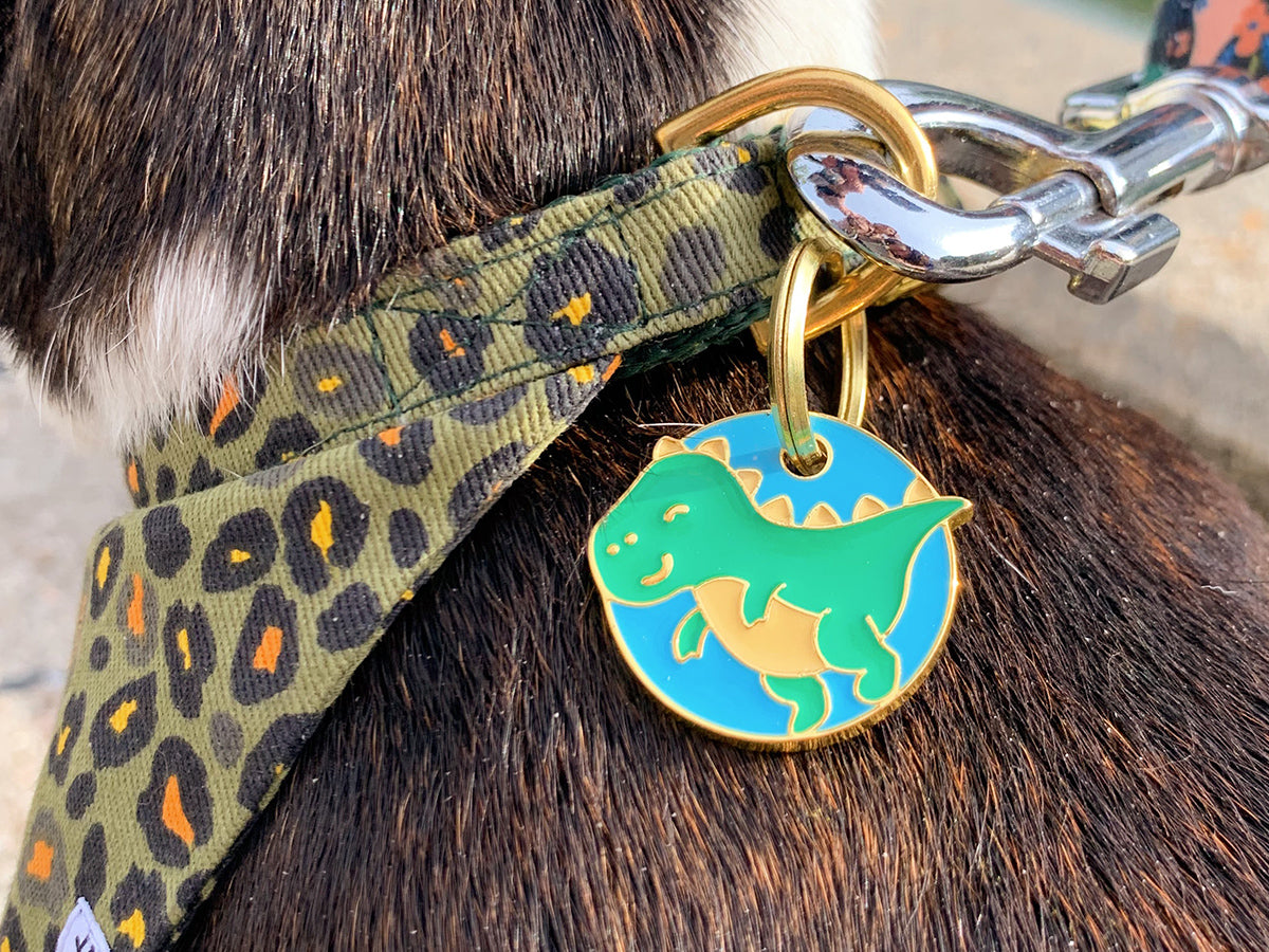 Médaille dinosaure pour chien 2