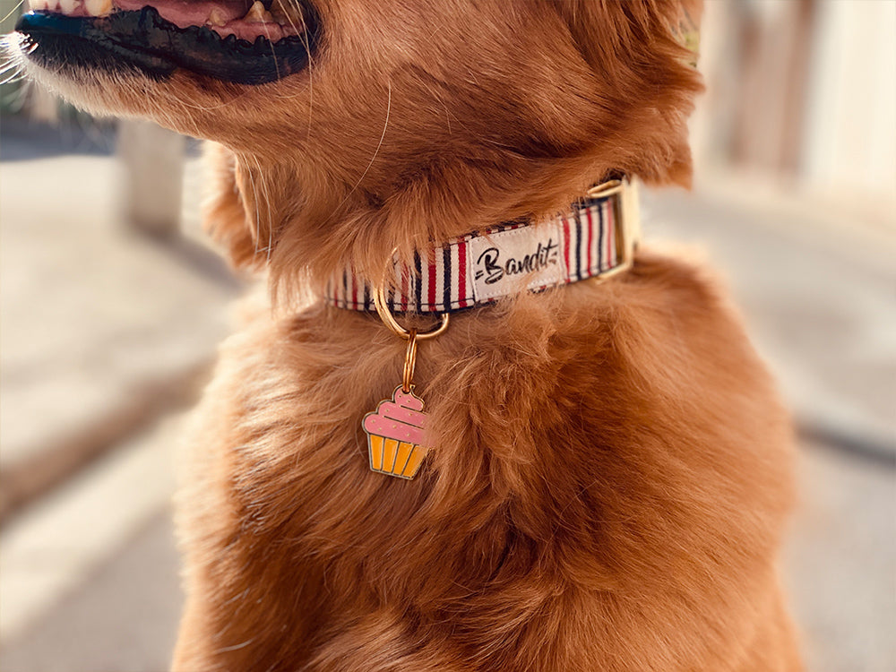 Médaille cupcake pour chien 2