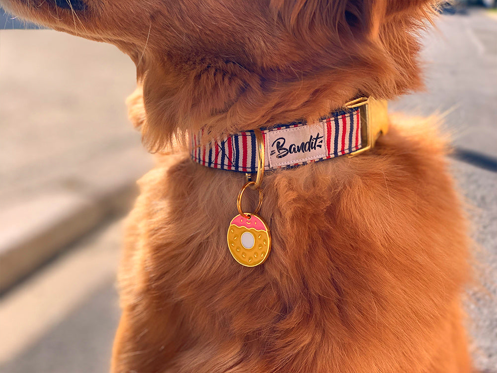 Médaille donut pour chien 2