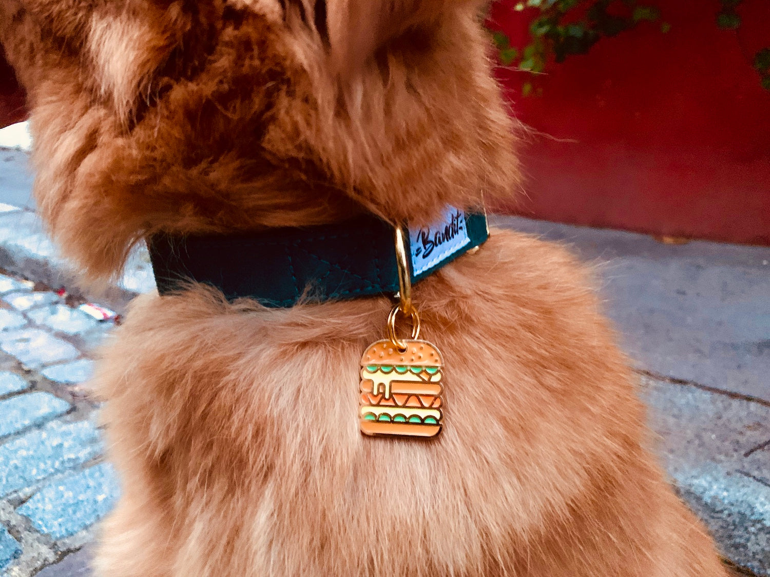 Médaille burger pour chien 5