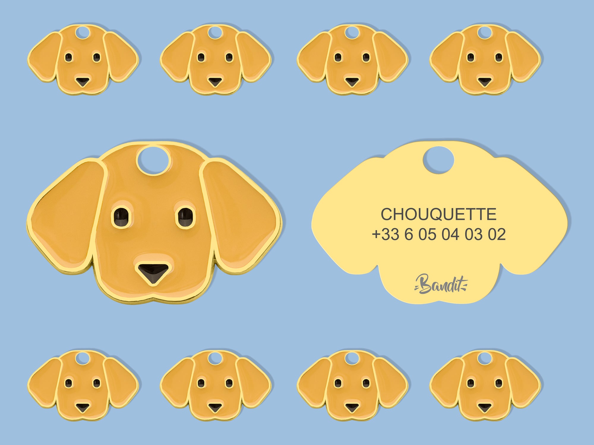 Médaille labrador pour chien 1