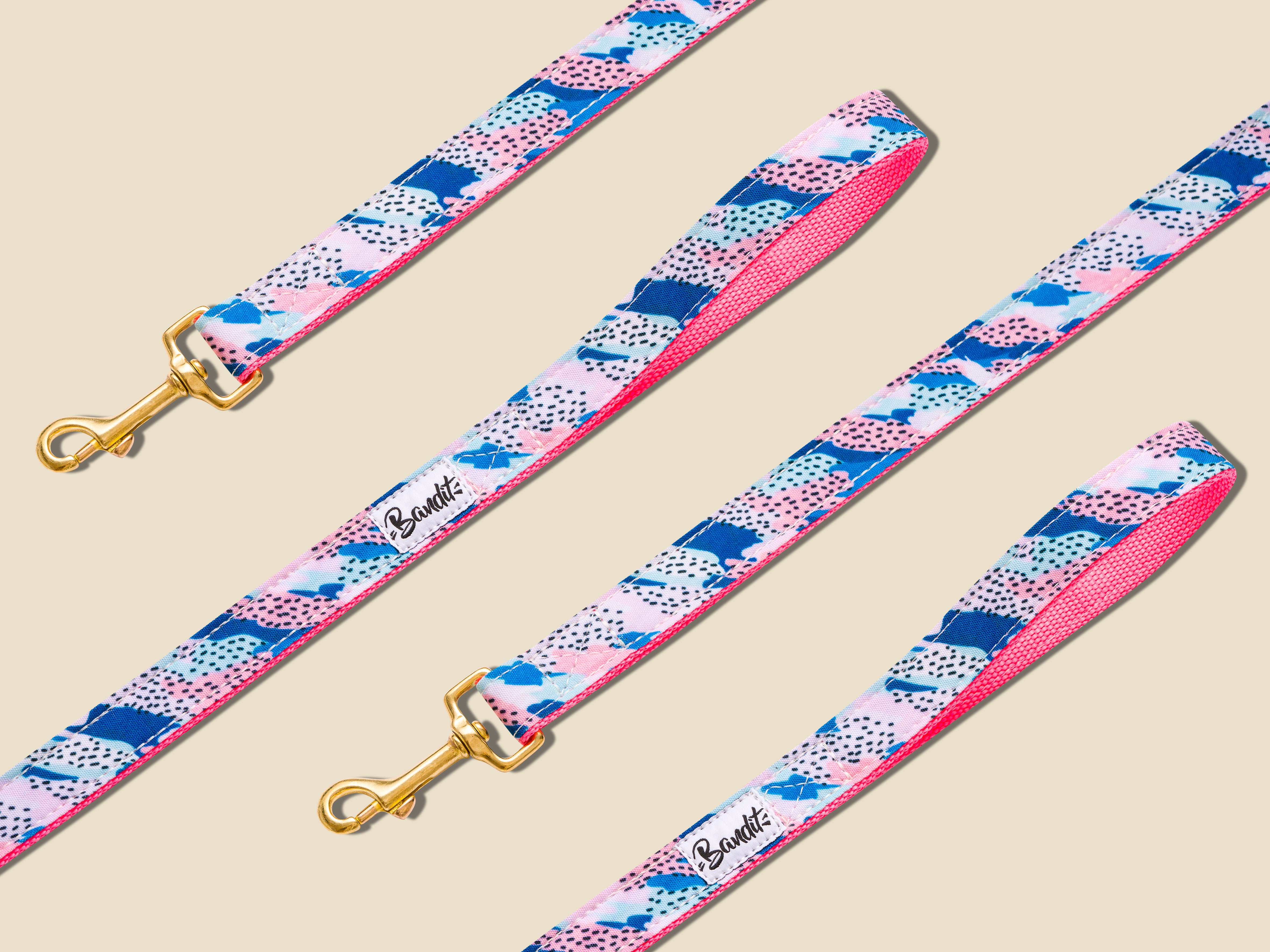 Laisse pour chien rose et bleu 1