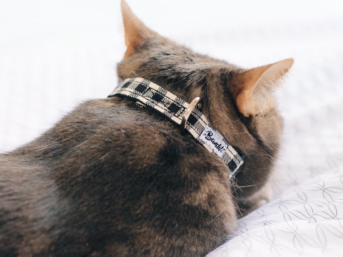 Collier pour chat vichy 3