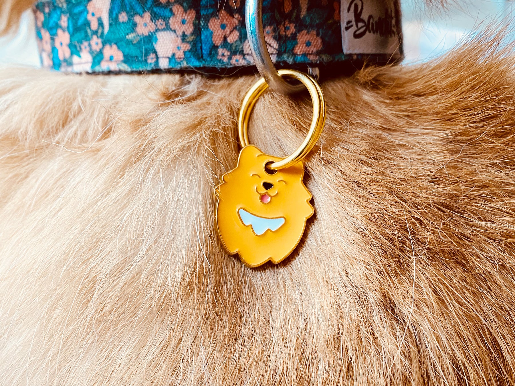 Médaille spitz pour chien 2