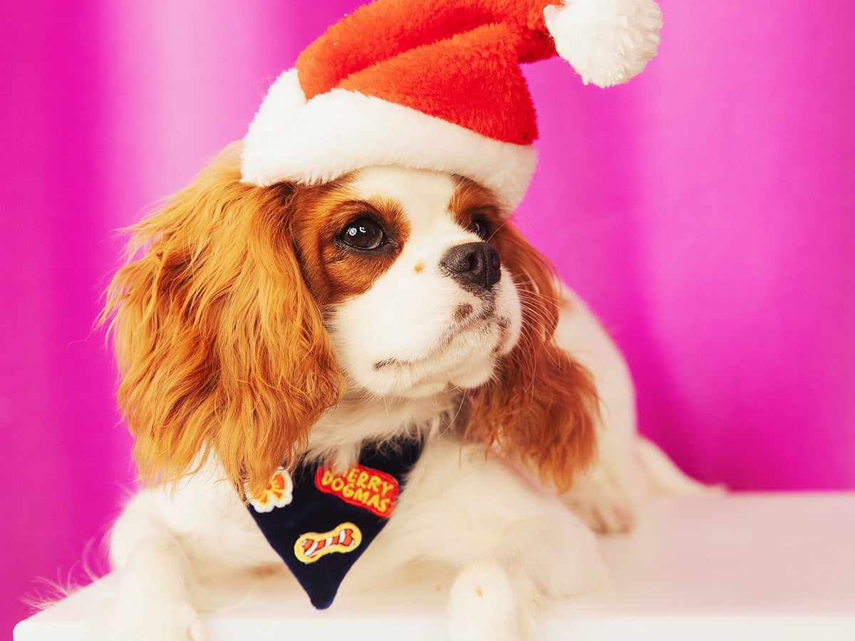 Merry Blue Bandana