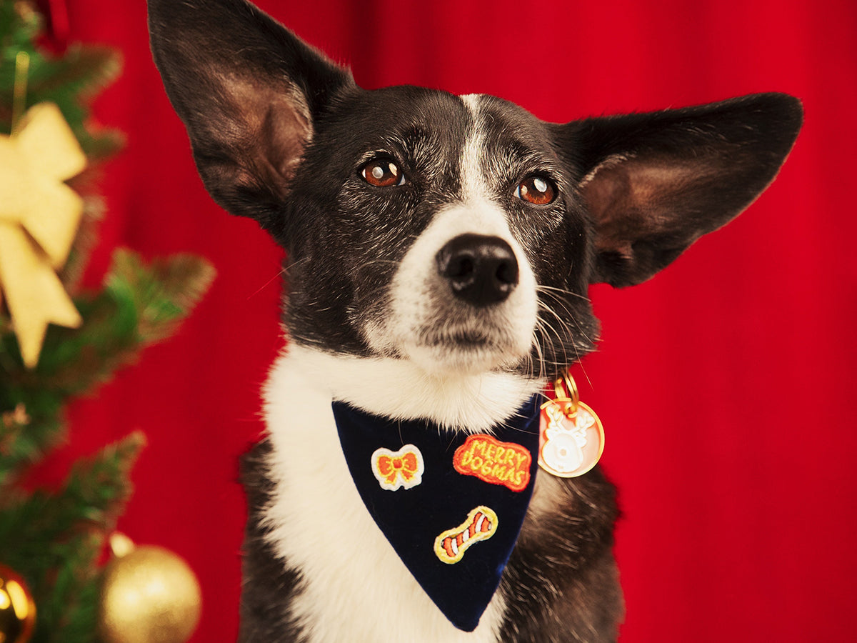 Merry Blue Bandana