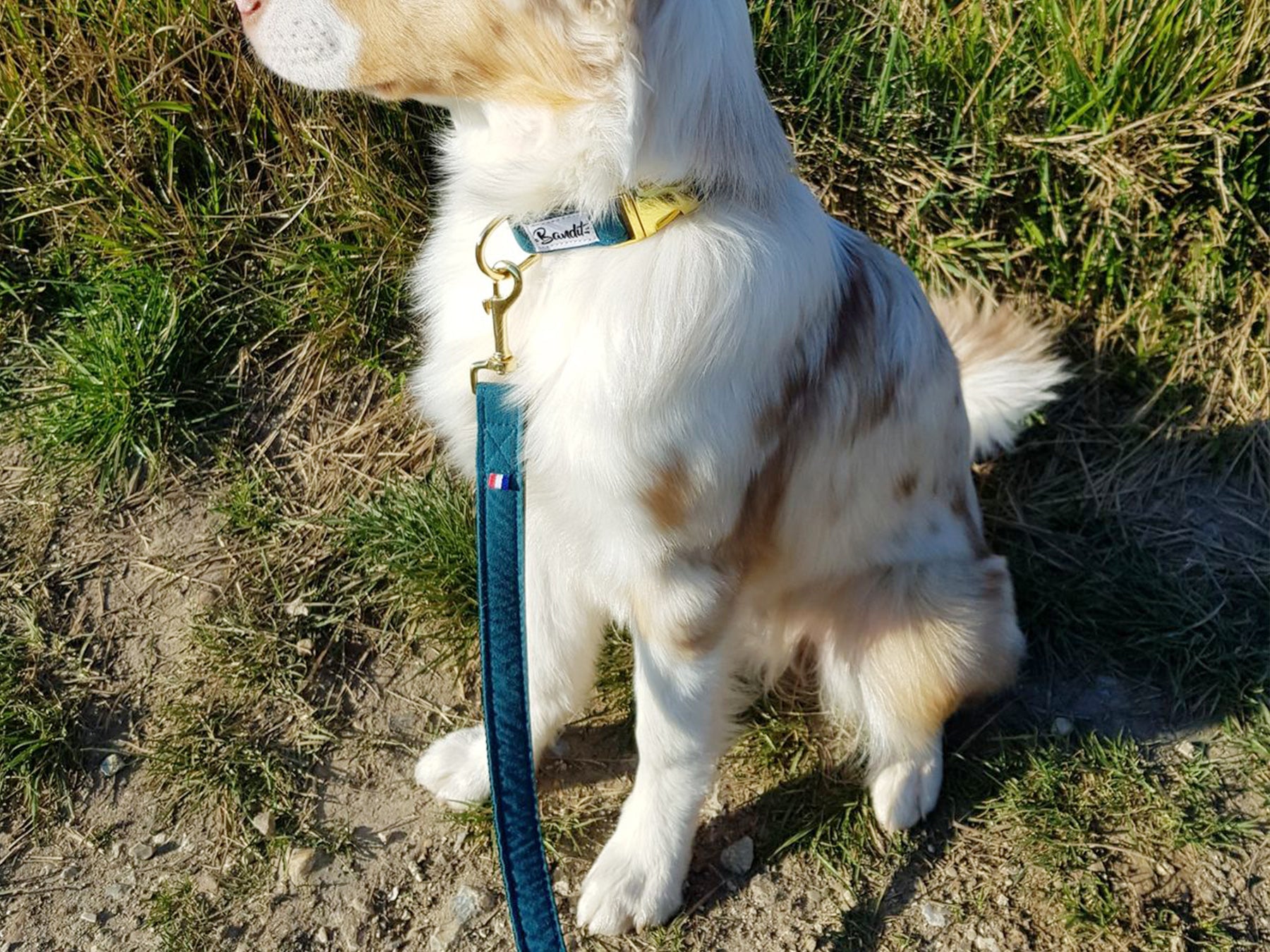 Laisse pour chien suédine verte 3