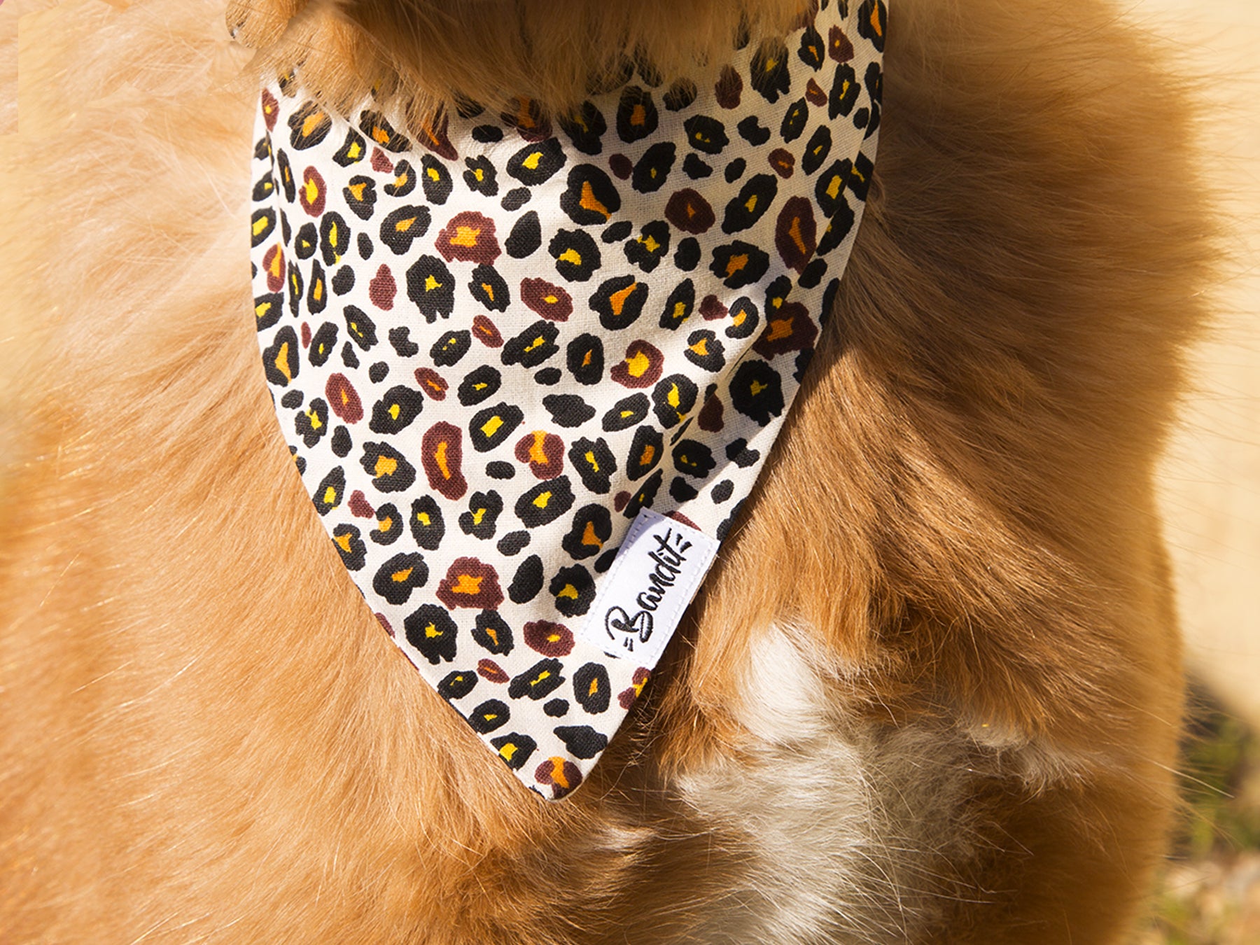 Bandana pour chien motif léopard 2